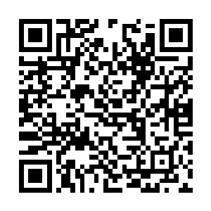 怎么可能有敌人神不知鬼不觉杀到了轨道圈的内侧二维码生成
