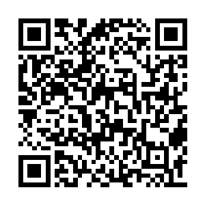 怎么可能突然之间就在守夜的时候睡得比她还死二维码生成