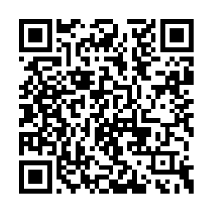 怎么和波洛维奇见面的时候还能保证自己的安全二维码生成