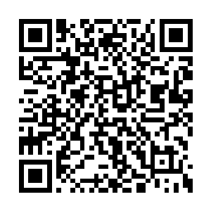 怎么就因为我罗嗦就只能停留在八等密卫这一级二维码生成