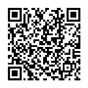 怎么就让两位举霞初期境界的修士对他如此恭敬呢二维码生成