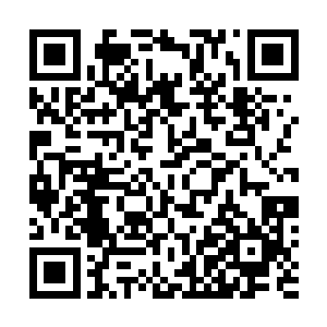 怎么感觉起来是你的女儿一样护着……有大司命的姊妹舰二维码生成