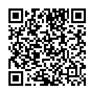 怎么才能吸引到好的有价值的菜自己往我们篮子里装二维码生成