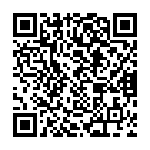 怎么把这享誉三界的三大竖眼神目之一的元蜃神目给忘了二维码生成