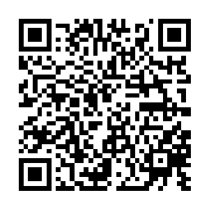 怎么没想到她接的是她口里那个在美国的男朋友呢二维码生成