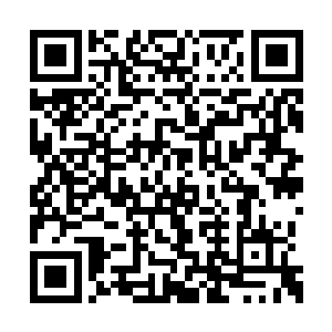 怎么没有见留守断后的朗四和他的那些精英手下二维码生成