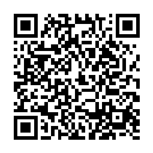 怎么现在只是区区这么一朵火莲就引得混沌钟出手呢二维码生成