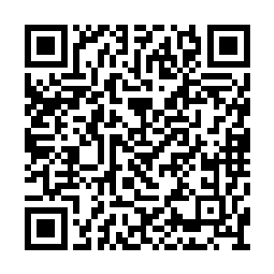 怎么看也应该是在风家和天阳商会两大势力身上二维码生成