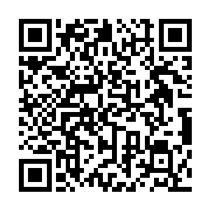 怎么看着都感觉跟当初曹纯所用的那些非常相似……要知道二维码生成