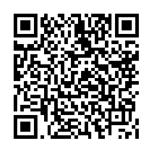 怎么短短几日龙一又特意前来传话让她去太子府二维码生成