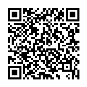 怎么突然就冒出两个……那个女玩家看起来还算养眼二维码生成