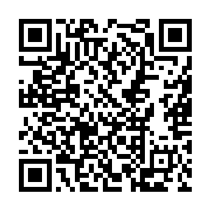 怎么能够当着孩子的面将实话说得这么光明正大呢二维码生成