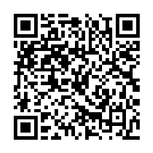 怎么能够沦落到现在要供奉一个藏族人做精神领袖二维码生成
