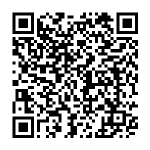 怎么能拱手让人一朝消亡磨灭一切功劳流传史册的只剩下通敌卖国的罪责二维码生成