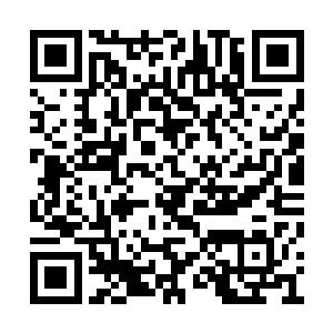 怎么能问让人闻风丧胆的杀手剑客怎么不退出呢二维码生成