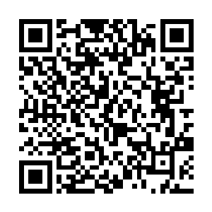 怎么说我姐夫也是咱们桃花集镇首富赵员外家的门子二维码生成