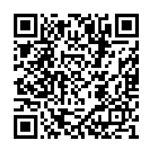 怎么说能够跟在教皇的身边是多少人梦寐以求的二维码生成