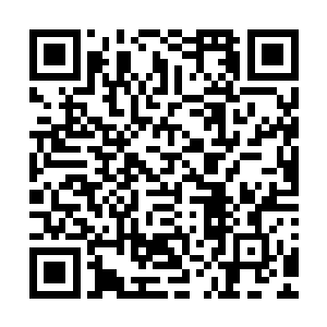 怎么跟当初参加七玄武府考核时候遇到的七宝玲珑塔有些相似二维码生成