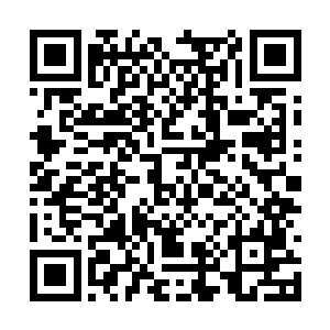 怎么这个阿木怎么就这么畏惧这瘦瘦弱弱的军医呢二维码生成