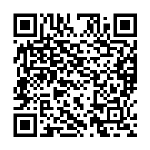 怎么这么多人都想趁着这个机会跟京城的人攀上关系啊二维码生成