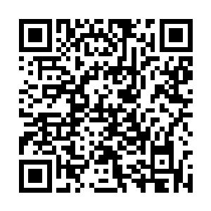 怎么这么着急想要来个断头案么欲盖拟彰还是怎么二维码生成