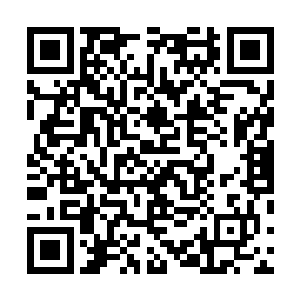 怎么这孙家的人自我介绍完烛龙真人一下子就来了兴致呢二维码生成