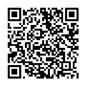 怎么连这种看起来并不复杂的治疗舱都仿制不了二维码生成