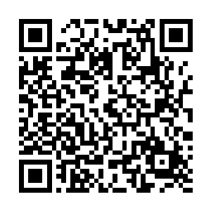 怎么都没想到纳什鬼鸦会突然说了这么一句没头没脑的话二维码生成