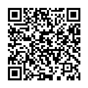 怎样才能让老兔子再生下來的小兔子能健康成长起來二维码生成