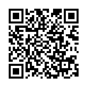 怎样都让我觉得画面太美不忍直视二维码生成