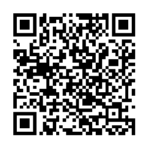 怎知杨开在攻打完杨亢之后居然也抱了同样的想法二维码生成