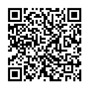 怎能放弃一个将灵界众多大能一锅端的机会不过与之相同的是二维码生成