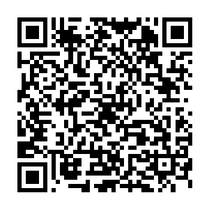 怔怔地看着杨开面前浮现出的一面巫术之盾外加掌心上的一个火球术二维码生成