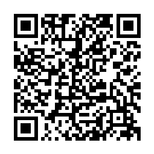 怕是也就在家面对洪大力和洪卫国的时候才能露出温柔的一面二维码生成