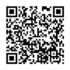 怕是到时候整个位面都会被洪大力给捅出来个窟窿吧二维码生成