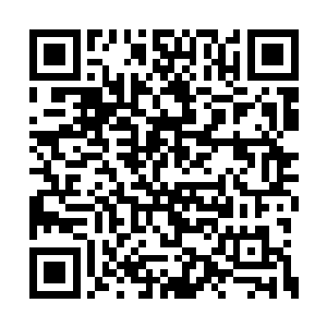 怕是已经把南阳府上下所有大小官员全都给罢职二维码生成