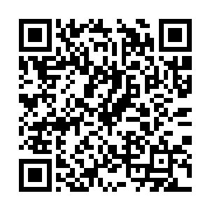 怕是我们永远都见不到这道名为衣钵传承的传送点二维码生成