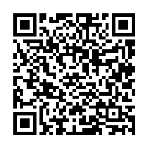 怕是破坏力丝毫不亚于至尊境巅峰强者的狂暴一击二维码生成