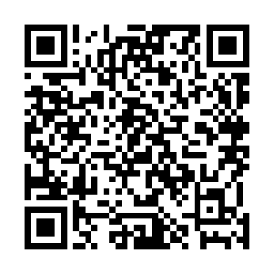 怕是这两位王爷也没有这么大的能力安排进刺客进入皇宫二维码生成