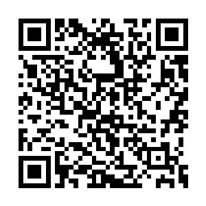 怕是随便来一名铸鼎境三重的武者都可以灭杀他二维码生成