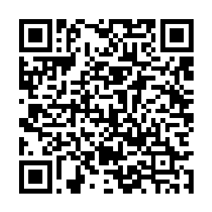 怕自己再看下去会克制不住想将面前之人拥入怀中二维码生成