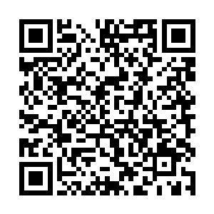思忖了数秒之后也将目光转向了跪在地上的船夫王贵二维码生成