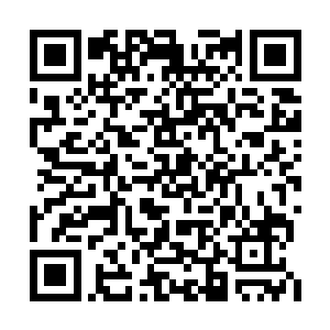 思绪却飞到几千公里外那个还未成型的人工岛上二维码生成