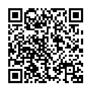 急忙一副想要将功折罪的神色在萧恒刚下完命令后就接上去道二维码生成