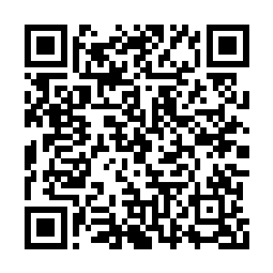 急忙从储物戒指中取出了一把糖果递给了燕山魂二维码生成