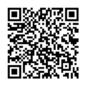 急忙想拔剑的时候整个人紧接着被一掌打飞出去二维码生成