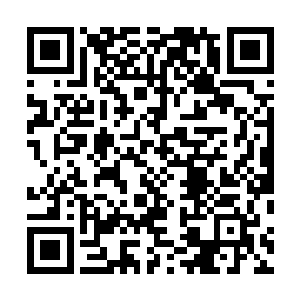 急忙把之前调查到的关于刘飞的情报一五一十的讲了出来二维码生成