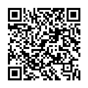 急忙用随身准备的小旗朝几百米开外的施洛发出求救的信号二维码生成