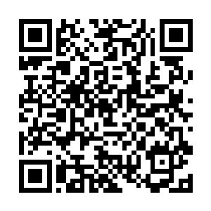 急忙驮着江帆猛的一窜飞上高空躲过巨大海浪的冲击二维码生成