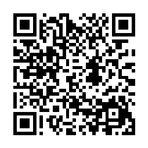 急的六神无主的力易一下子蹿过来就抓住了凌菲的手腕二维码生成